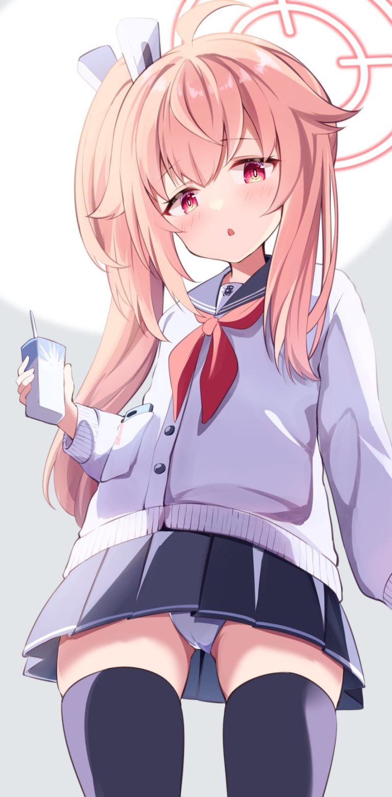 【二次】女の子の絶対領域画像まとめ 12