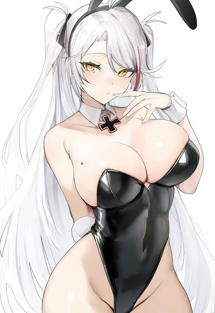 【】けも耳ついのイラスト