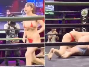 【】海外の女子