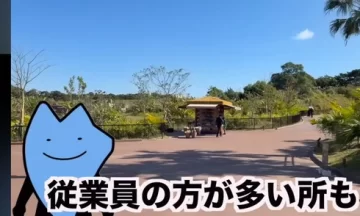 【画像】ジャングリア