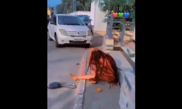 この下半身裸で路上に