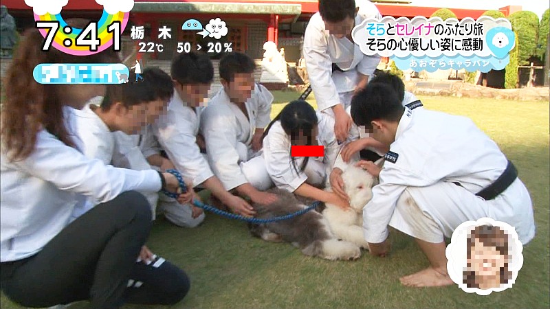 【】柔道ＪＫさ