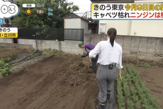 【画像】渡邉結衣アナ
