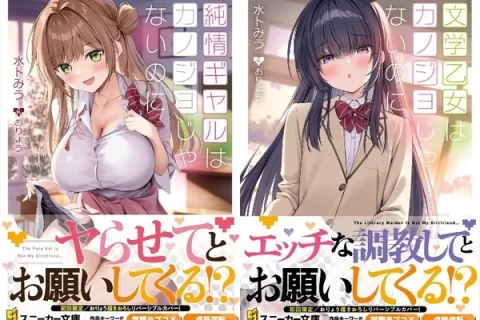 【画像】最近のラノベ
