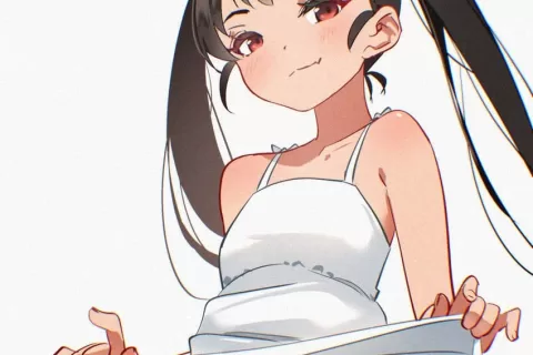 【画像】化物語のヒロ