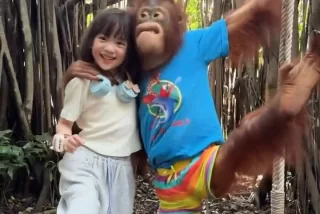 【動画】中国の美少女