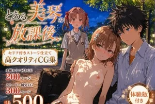 とある美琴の放課後