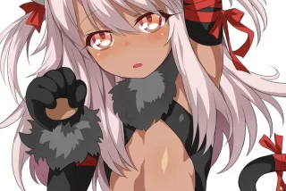 プリズマイリヤ エッ