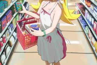 【悲報】化物語のヒロ