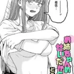 お姉ちゃんのせいだか