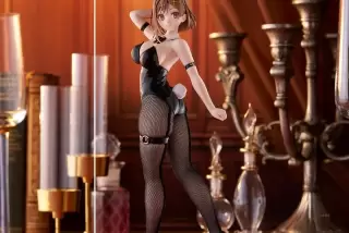 【画像】ライザさん、