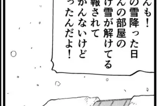 【画像】ヤニねこに難