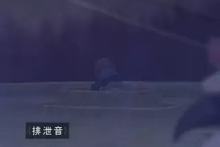 【画像】ヒロインの「
