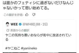 【悲報】ヤニネコ、浅