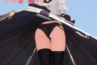 【朗報】パンツが見え