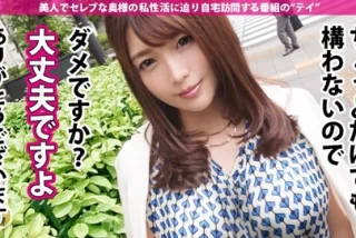 新村あかりとかいうAV