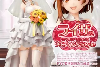 【画像】ライザさん、