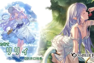 【画像】グラブルの女