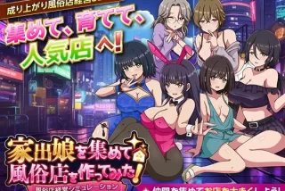 家出娘を集めて風俗店