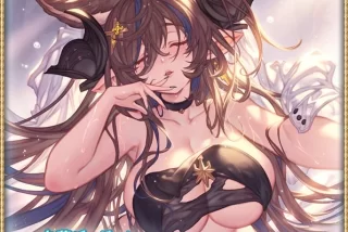 【画像】『グラブル』