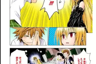 【画像】ToLOVEるのヤ