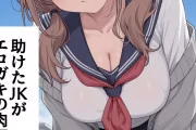 【二次エロ】助けたJK