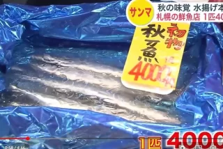 【悲報】さんま、1匹4
